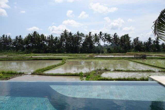 Villa Balinese Luxurious Elegance Ubud Extérieur photo